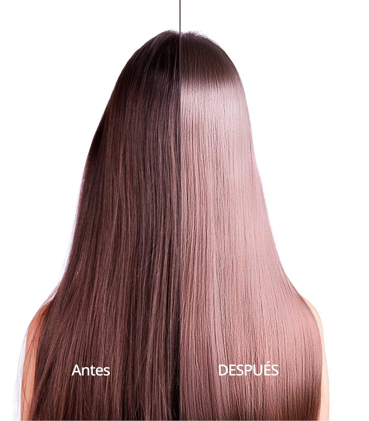 Bain Shampoo Cell Innove 250 ml